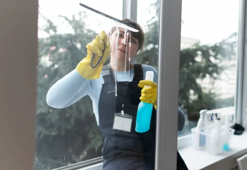Nettoyage de vitres intérieures et extérieures à Guénin
